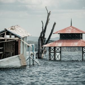 Lac de Nakuru